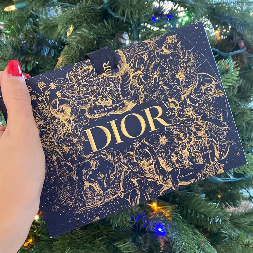 Small Dior holiday gift bag with tissue